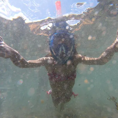 Casa Da Adega 別荘 Ribeira Chã