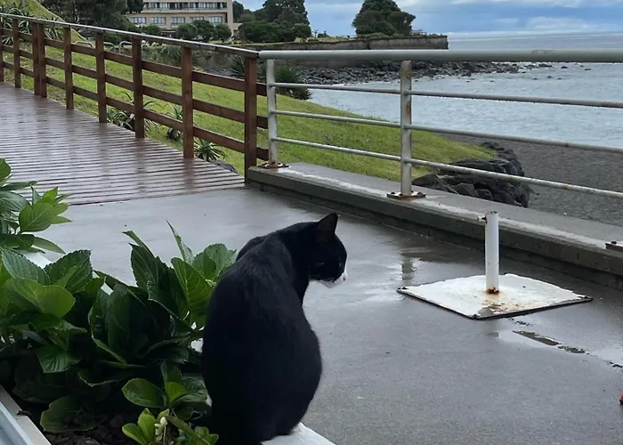 Casa Da Adega Ribeira Chã