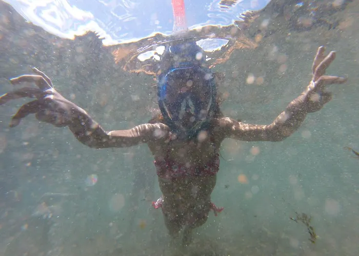 Casa Da Adega 別荘 Ribeira Chã